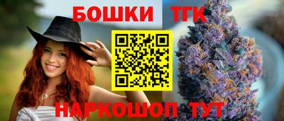 индика Рыбинск