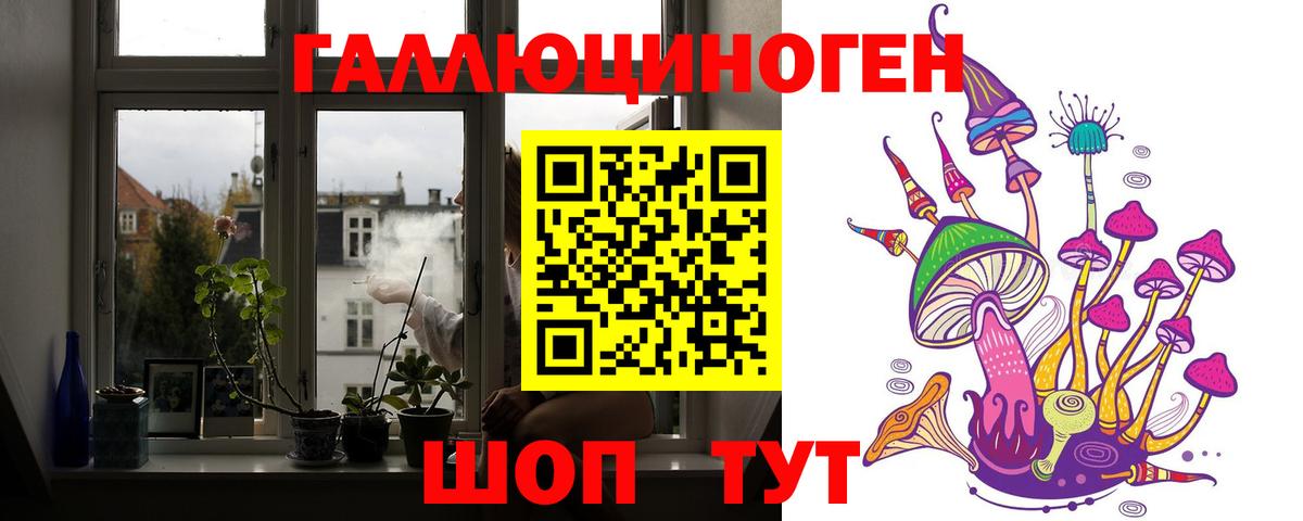 закладки  Вход с VPN  Партизанск  Псилоцибиновые грибы прущие грибы 
